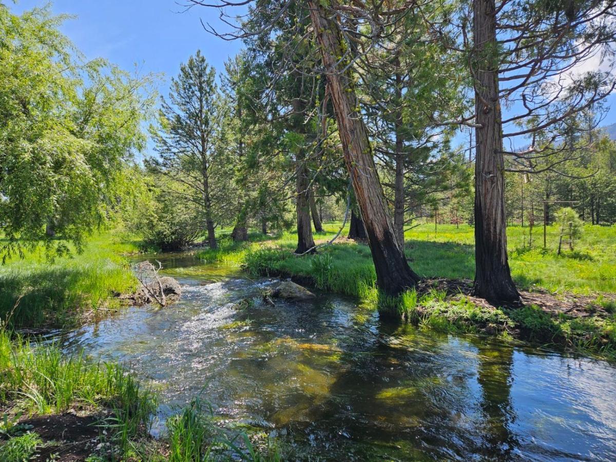 The Black Forest Lodge Red Bluff Buitenkant foto